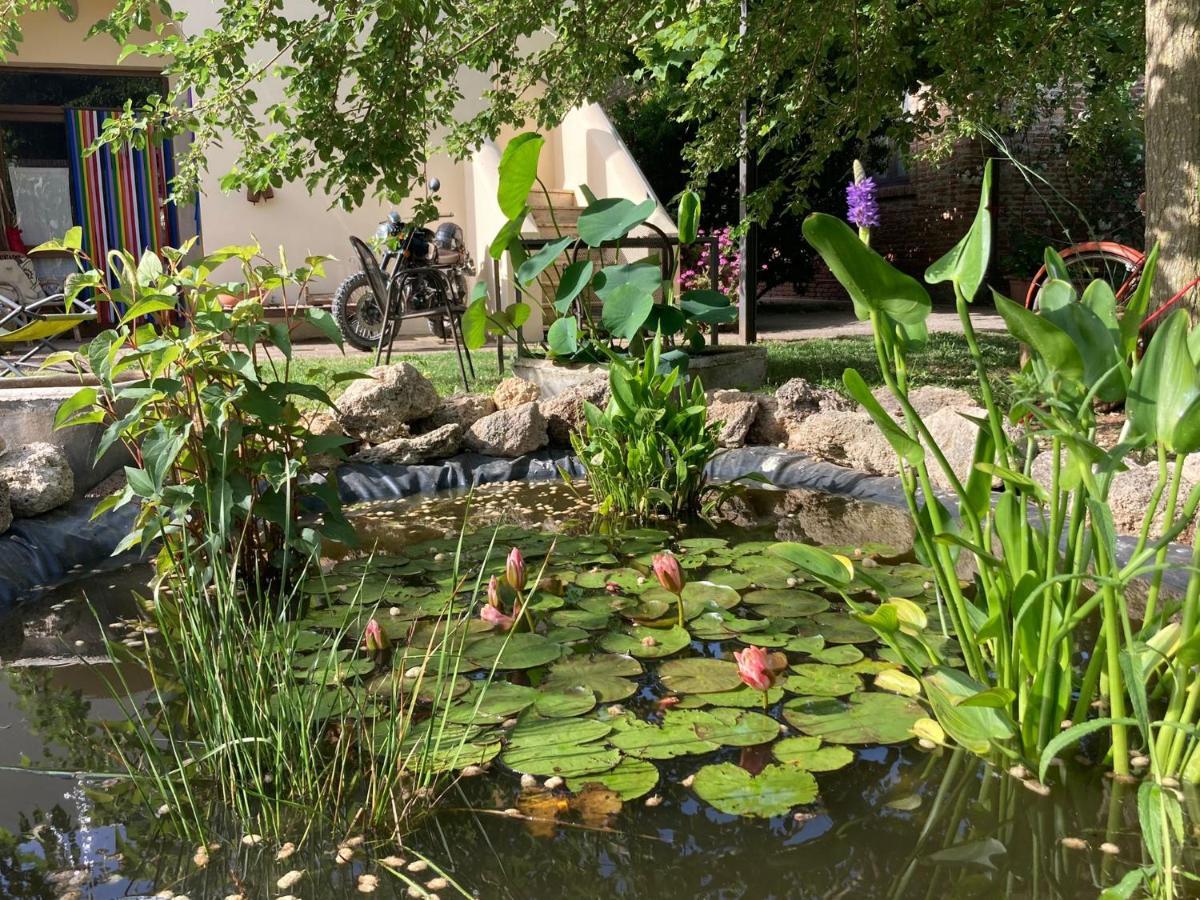 Casa Del Geco Bed & Breakfast 3*