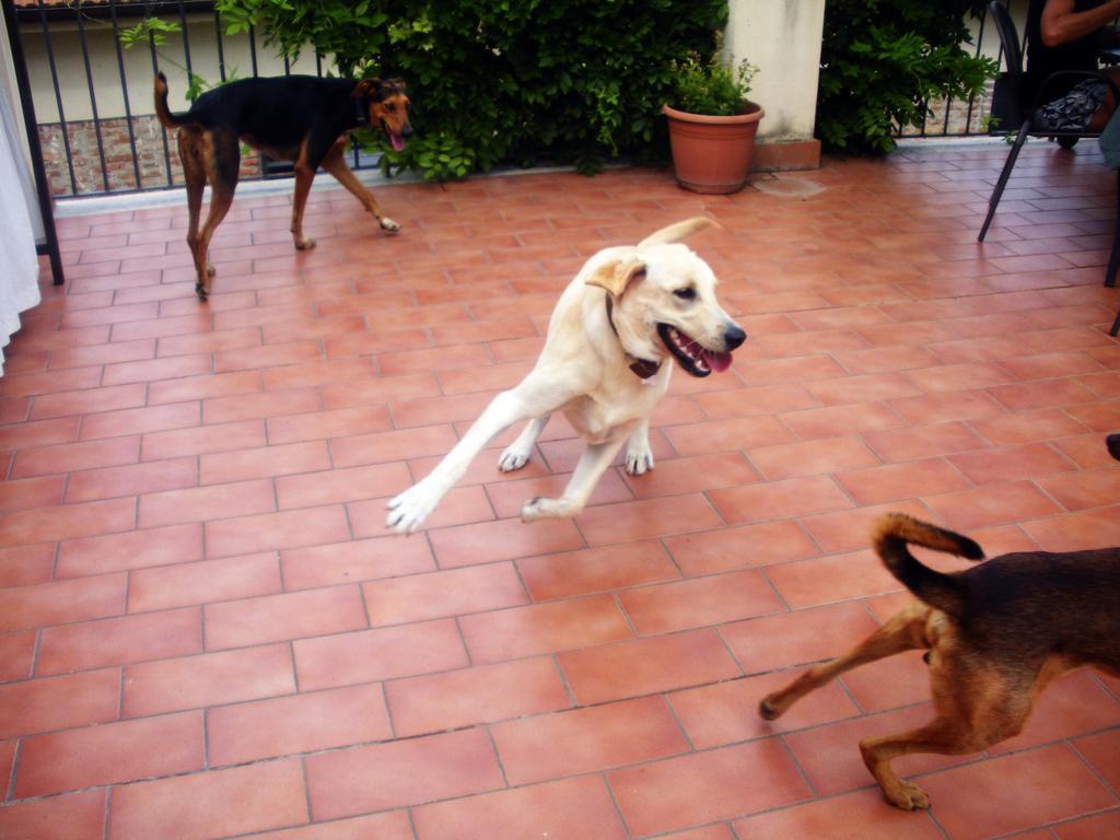 Bed & Breakfast Casa Del Geco Paestum